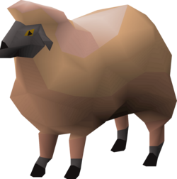 Red Sheep